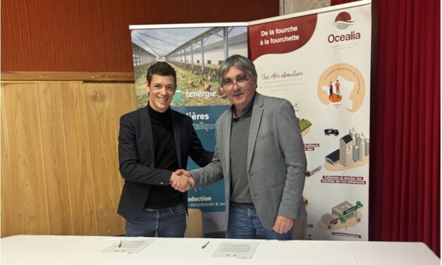 Tenergie & Océalia s’associent pour développer des volières agrivoltaïques