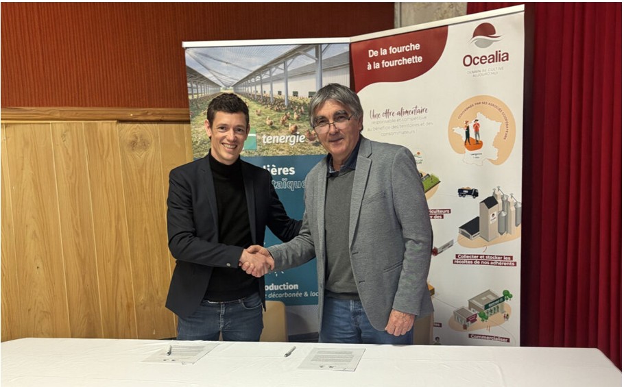 Tenergie & Océalia s’associent pour développer des volières agrivoltaïques