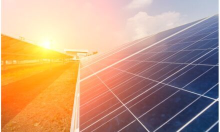 Début d&rsquo;année difficile pour le photovoltaïque en Allemagne
