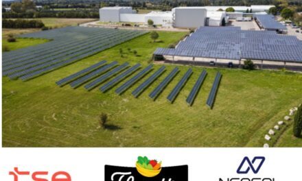 Florette passe à l’autoconsommation solaire avec TSE