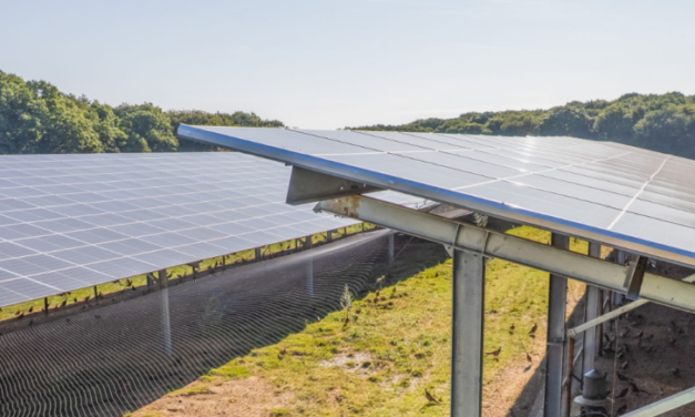 Mexens finance en participatif la centrale agrivoltaïque de 18,4 MWc de Loubès-Bernac