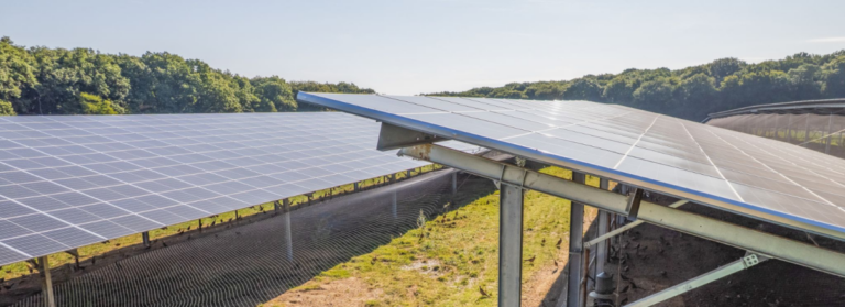 Centrale solaire de Loubès-Bernac développée par Mexens, financée via Lendopolis