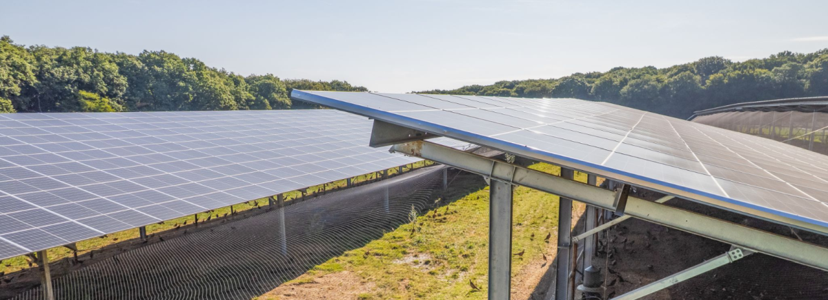Mexens finance en participatif la centrale agrivoltaïque de 18,4 MWc de Loubès-Bernac