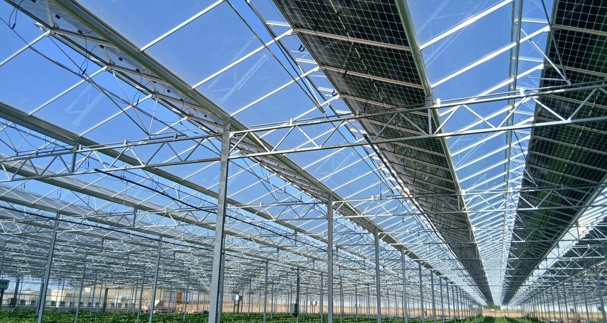 Reden inaugure sa première serre agrivoltaïque en Maine-et-Loire