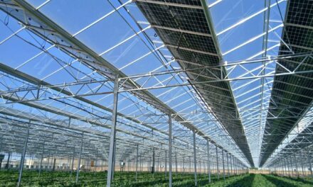 Reden inaugure sa première serre agrivoltaïque en Maine-et-Loire