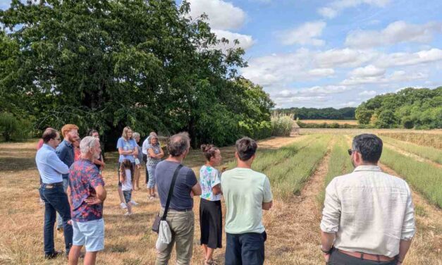 Q Energy et Fermes d&rsquo;Avenir lancent leurs premiers accompagnements de projets agricoles dans le Poitou