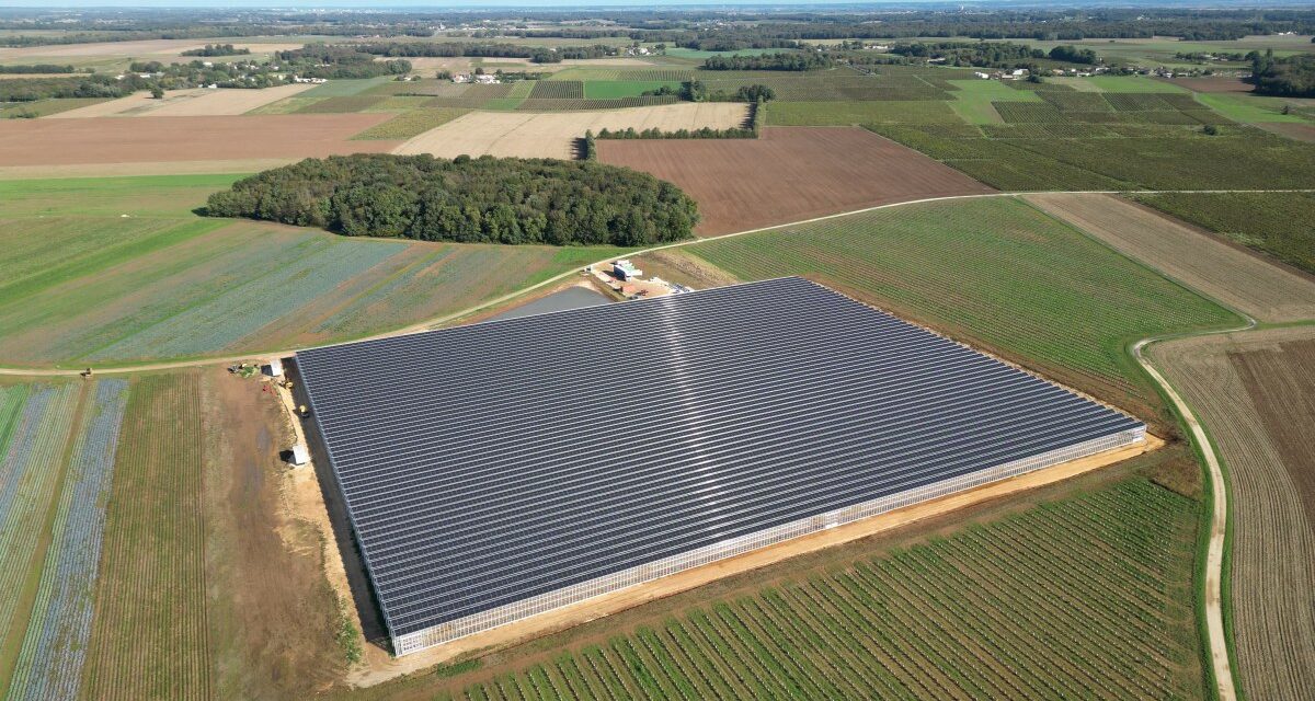 Reden inaugure deux serres agrivoltaïques dédiées au maraîchage bio, en Charente-Maritime et dans le Var