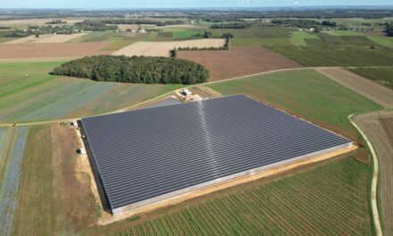 Reden inaugure deux serres agrivoltaïques dédiées au maraîchage bio, en Charente-Maritime et dans le Var