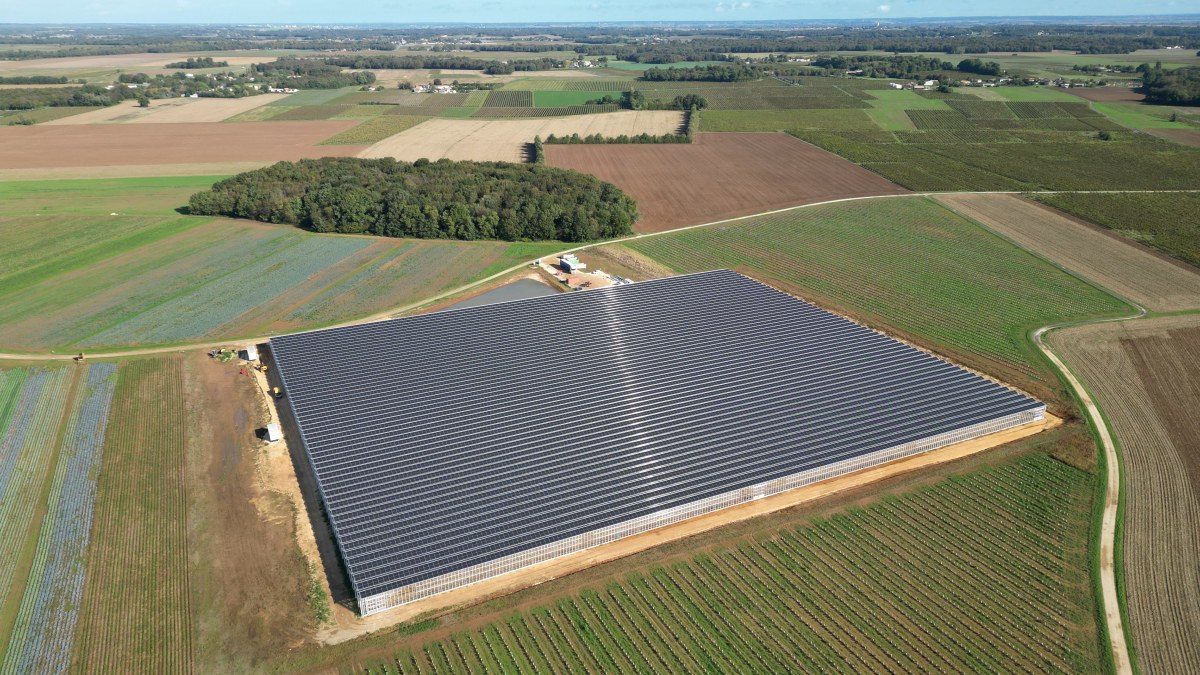 Inauguration de la serre agrivoltaïque du Domaine Chaillou à Gémozac, avec Bertrand Gazeau (Reden)
