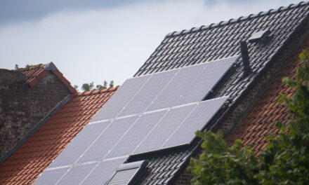 L’Allemagne veut limiter à la moitié l’injection des petites toitures solaires