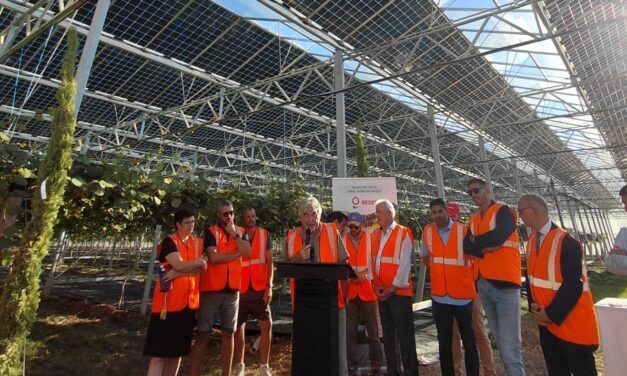 Reden inaugure une serre agrivoltaïque de 1,53 MWc sur des kiwis jaunes à Upaix