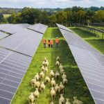 Neoen lance la construction de la plus grande centrale solaire d&rsquo;Île-de-France et de deux parcs agrivoltaïques