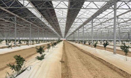 Reden inaugure la première serre agrivoltaïque du Gers, consacrée à un agrume japonais