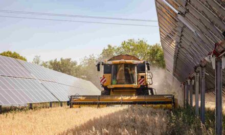 Akuo et la Maif inaugurent à Sombernon une centrale agrivoltaïque sur trackers en grandes cultures