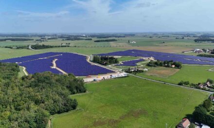 Tenergie et ABO Energy inaugurent un parc solaire de 26,25 MWc conçu pour un élevage ovin